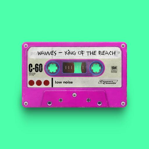 07041 - Wavves - King of the Beach